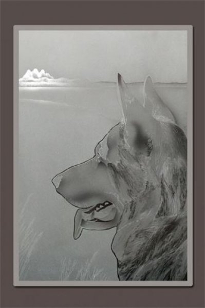 Meertens-Glas-Zandstralen-spiegel-glazen-plaat-herdershond